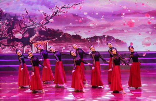 花開正當(dāng)時，舞動少年夢——天臺縣少兒舞蹈成果展演圓滿落幕